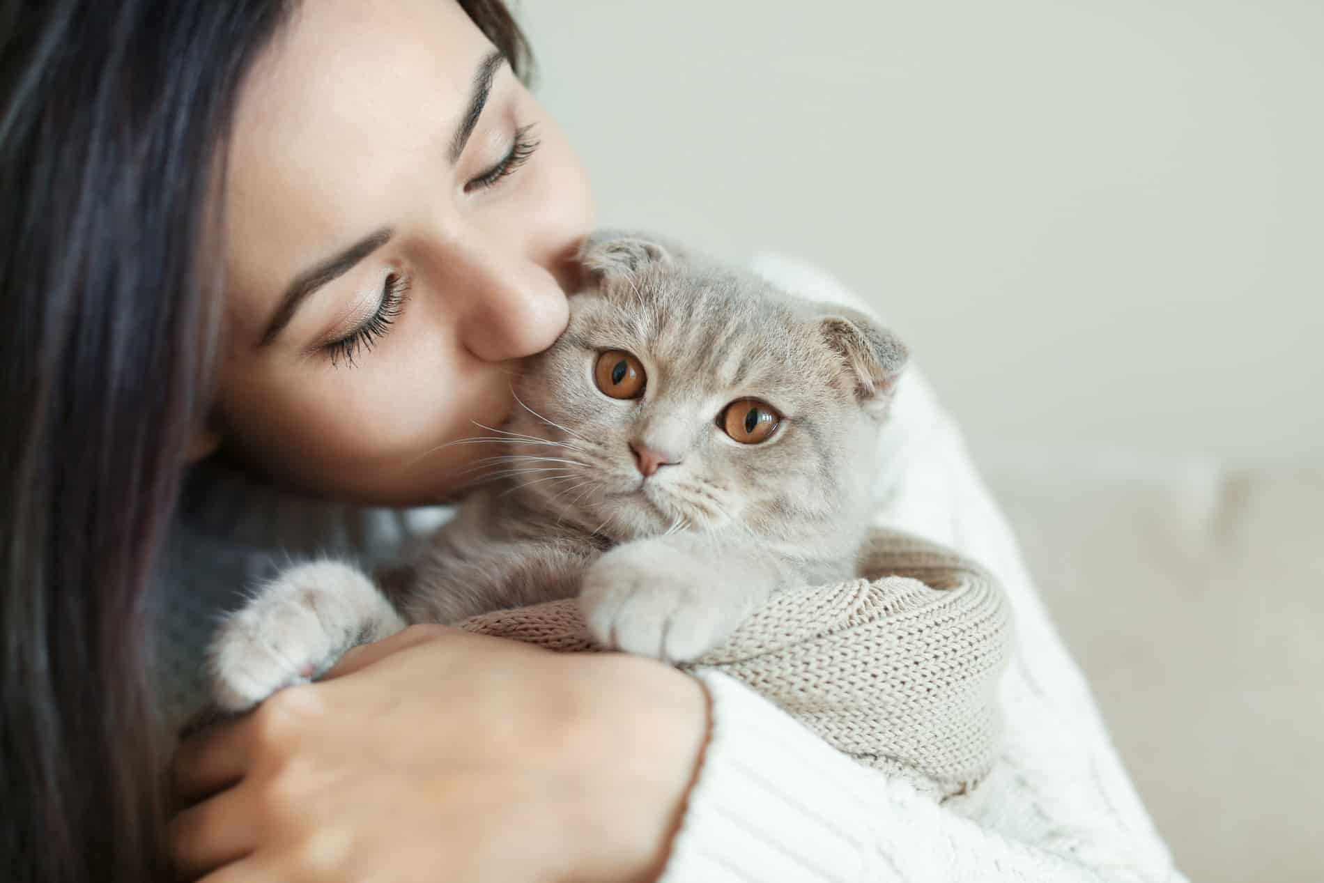 Cat home safely with her owner because she had a pet microchip in Dacula GA