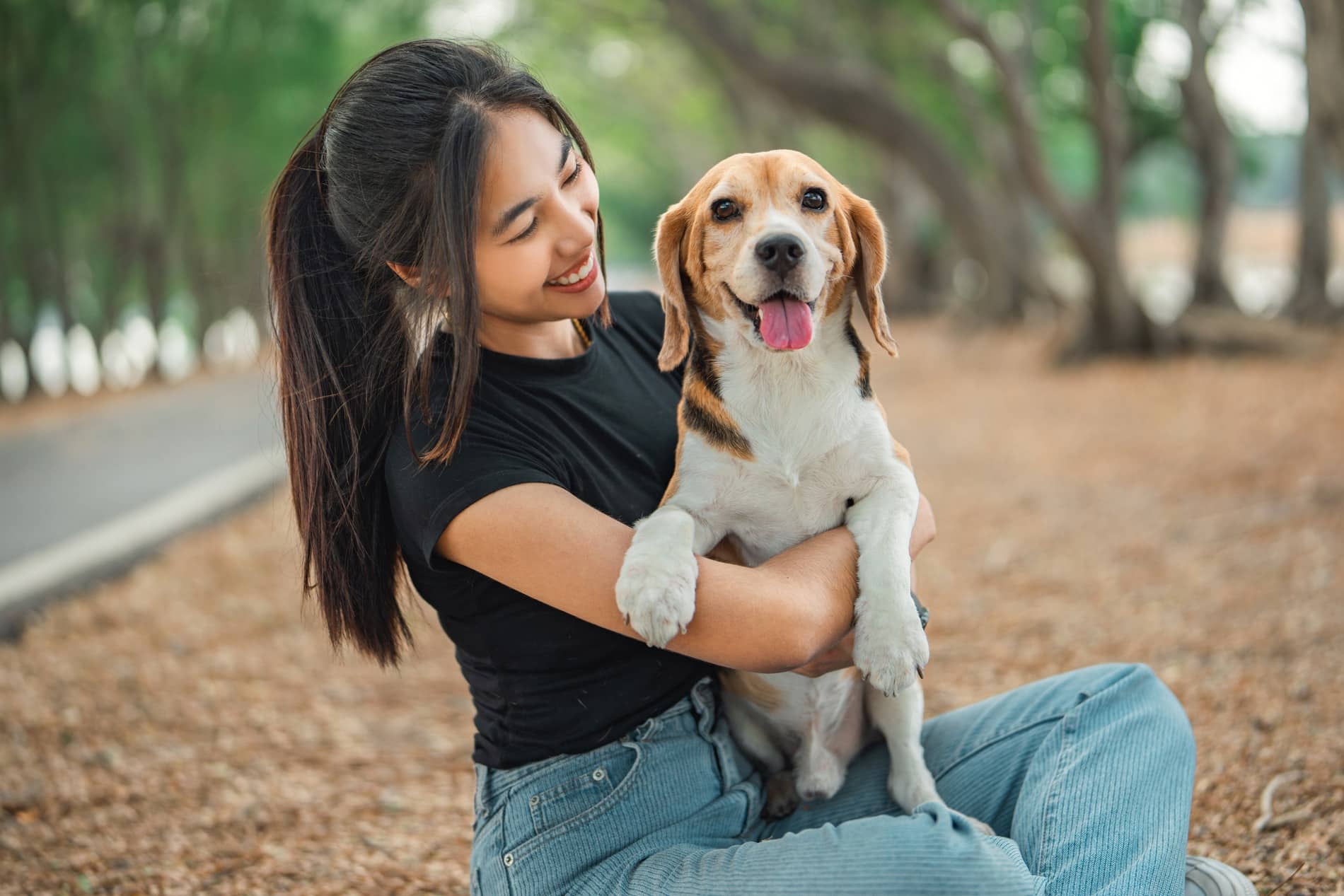 Dog on the way to a soft tissue surgery appointment in Dacula